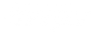 logo_white_trans_01